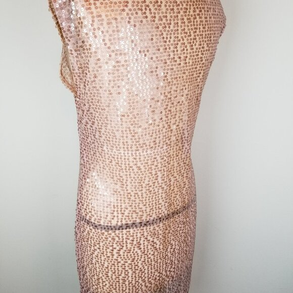 Vintage Rose Pink Sheer Shimmer Sheath Dress * Ladies Size Small - Picture 4 of 6